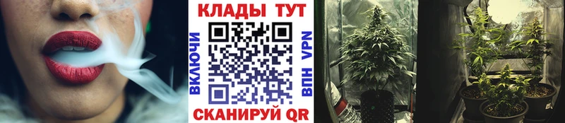 Купить закладку СОЛЬ  МДМА  АМФ  ГАШ  Меф  Конопля  Баксан
