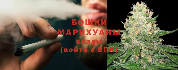 бошки Гусев