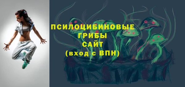 бошки Гусев