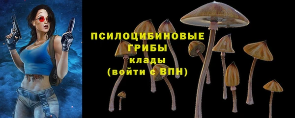 бошки Гусев
