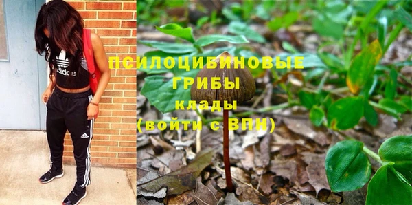 альфа пвп Гусиноозёрск
