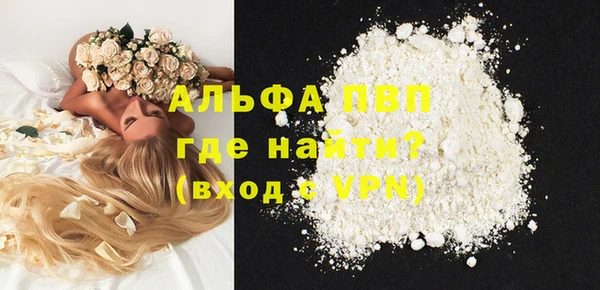 бошки Гусев