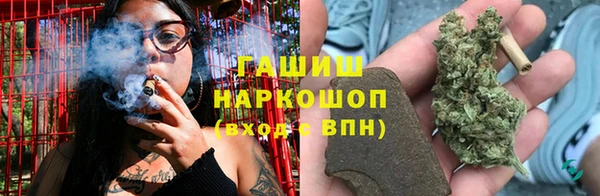 бошки Гусев