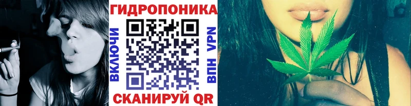 Шишки марихуана гибрид  Купить  Баксан 